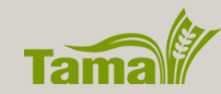 Tama Oceania